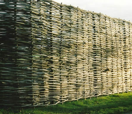 Continuous Hazel Wattle Fencing