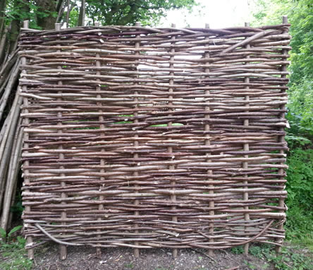 Hazel Wattle Hurdles 